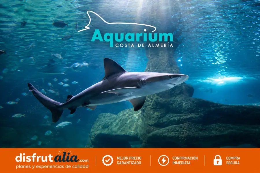 Aquarium costa de Almería - Que hacer en Almería con niños